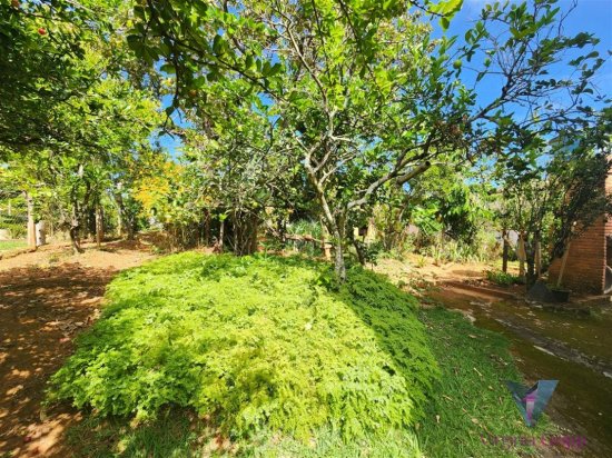 casa-em-condominio-venda-condominio-fazenda-solar-igarape-mg-713917