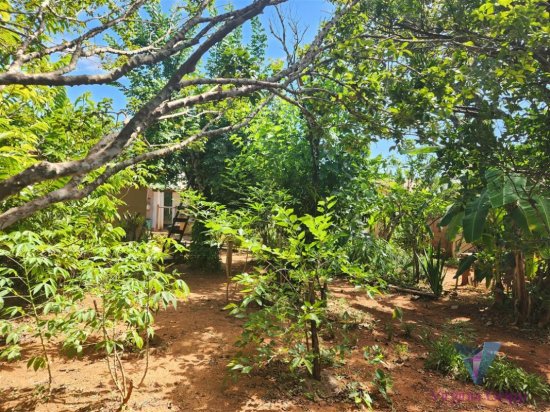 casa-em-condominio-venda-condominio-fazenda-solar-igarape-mg-713919